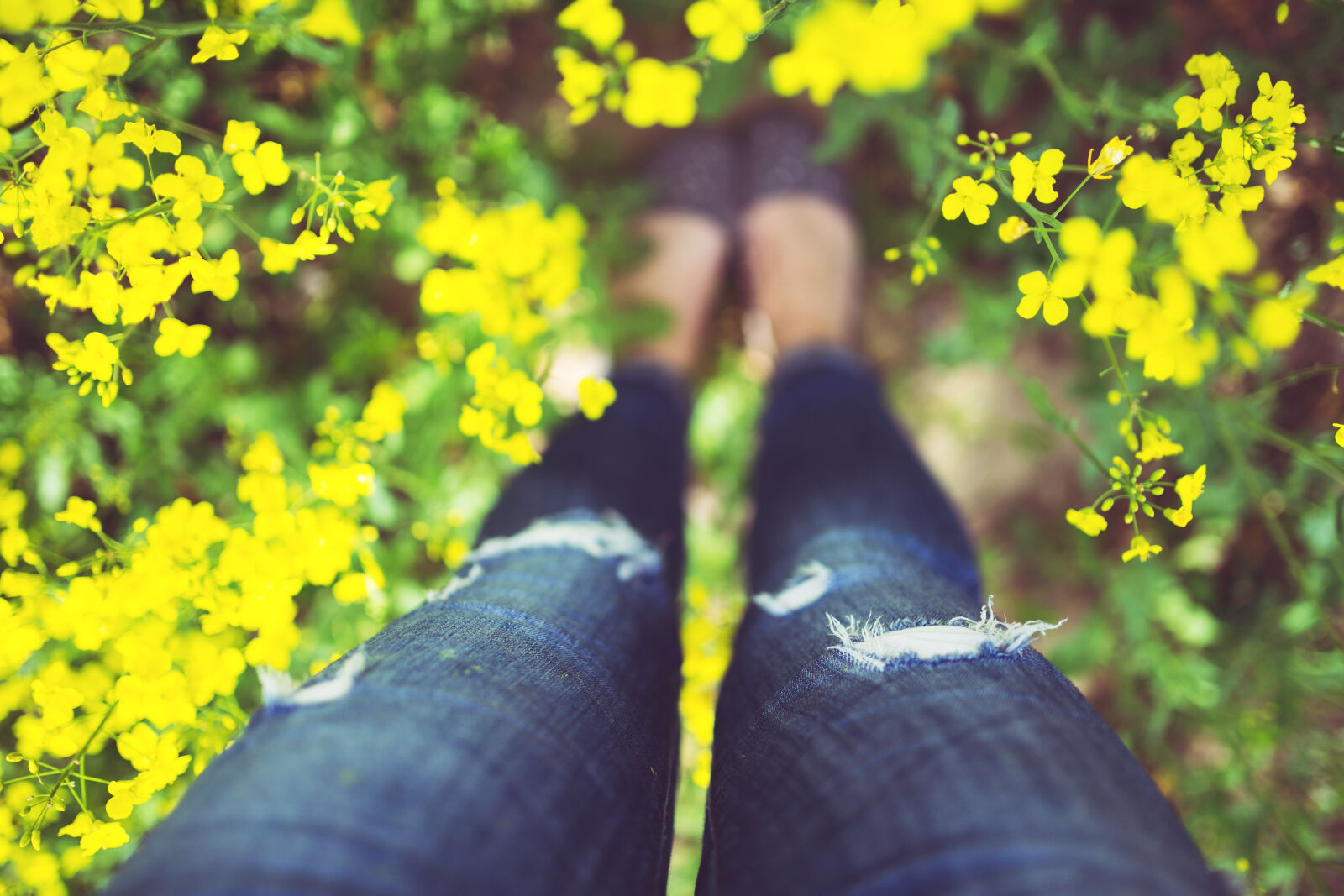 Canon EOS 6D + Sigma 35mm F1.4 DG HSM Art sample photo. Girl, standing, in, yellow photography