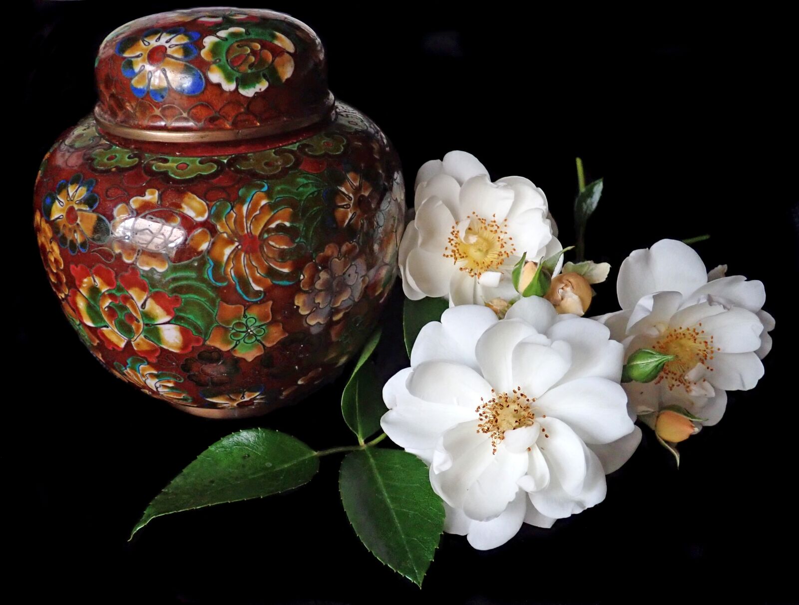 Olympus TG-5 sample photo. Roses, white, flowers photography