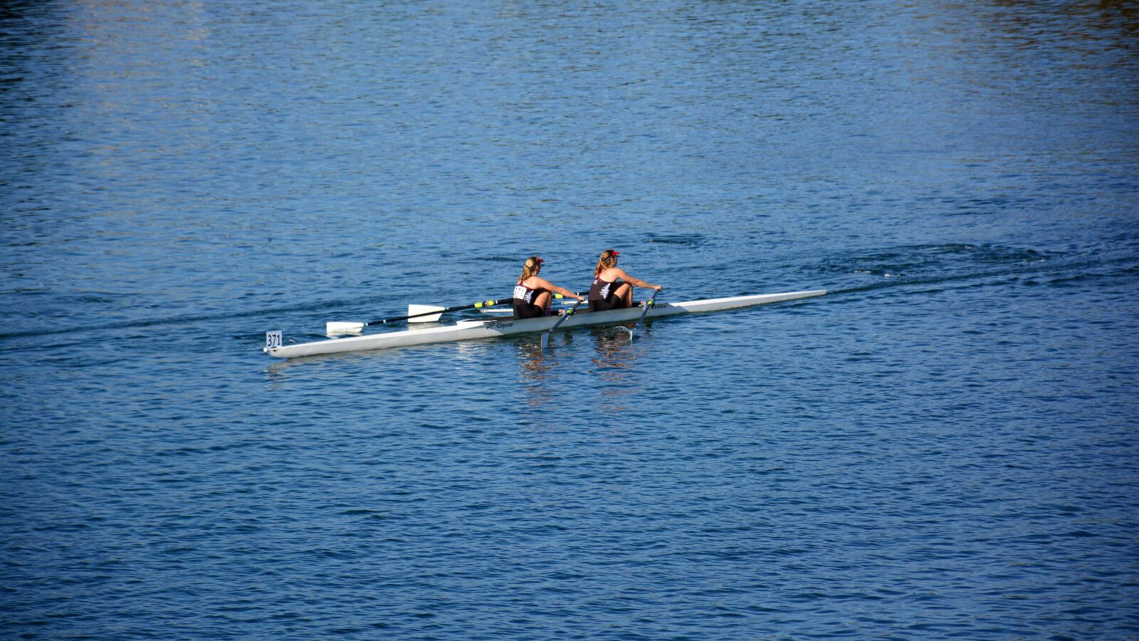 Nikon D5200 sample photo. Sports, foster city, rowing photography