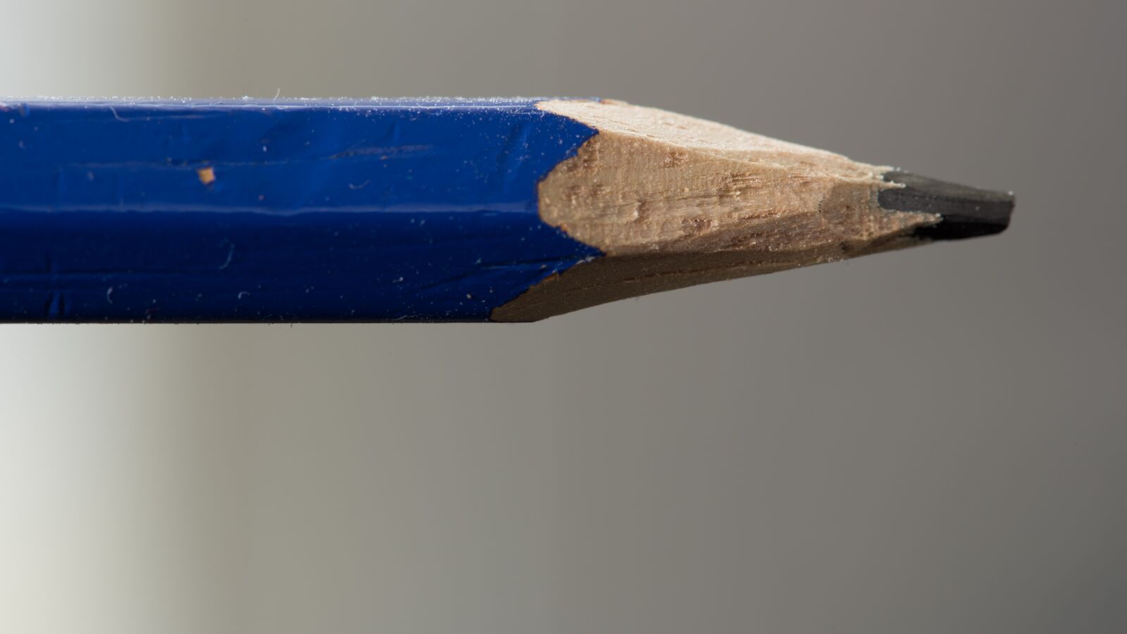 Canon EF 100mm F2.8 Macro USM sample photo. Still, items, things photography