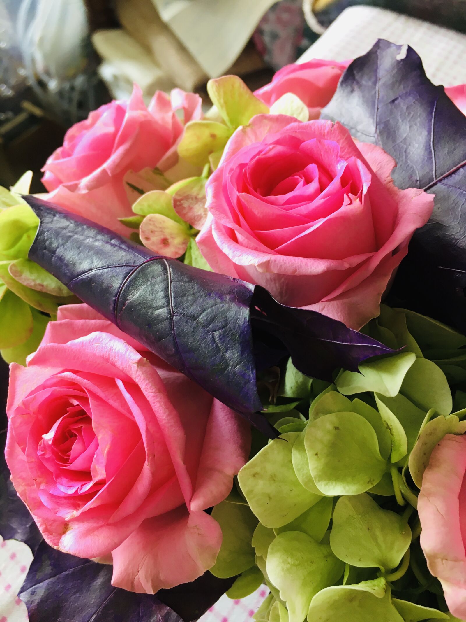 iPhone 6s back camera 4.15mm f/2.2 sample photo. Roses, fleurs, fl photography
