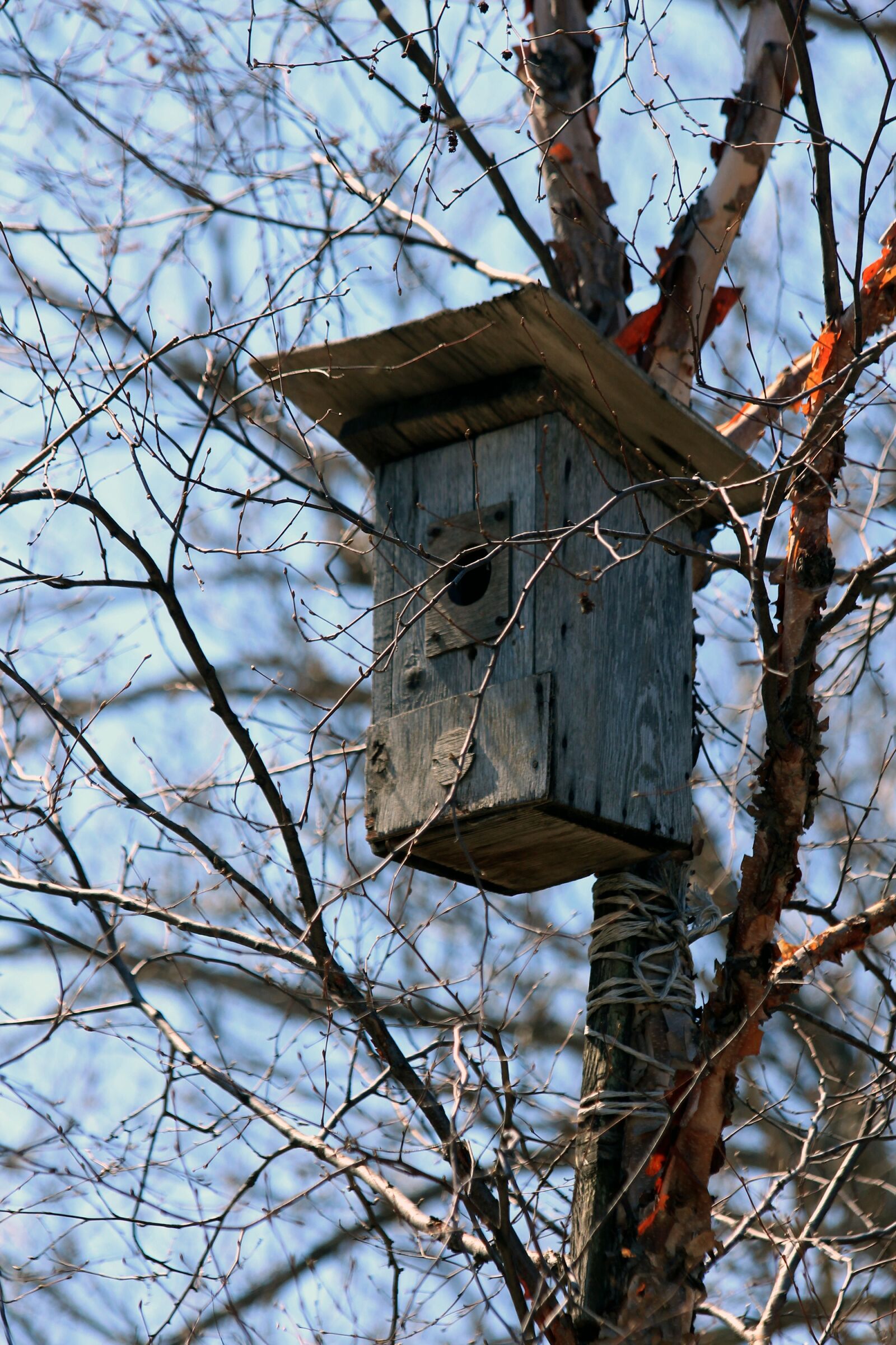 Canon EOS 650D (EOS Rebel T4i / EOS Kiss X6i) sample photo. Birdhouse, spring, house for photography
