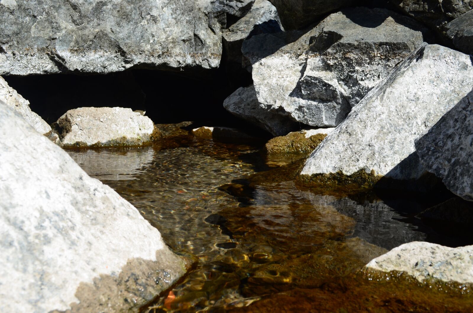 Nikon D5100 sample photo. Spring, water, creek photography