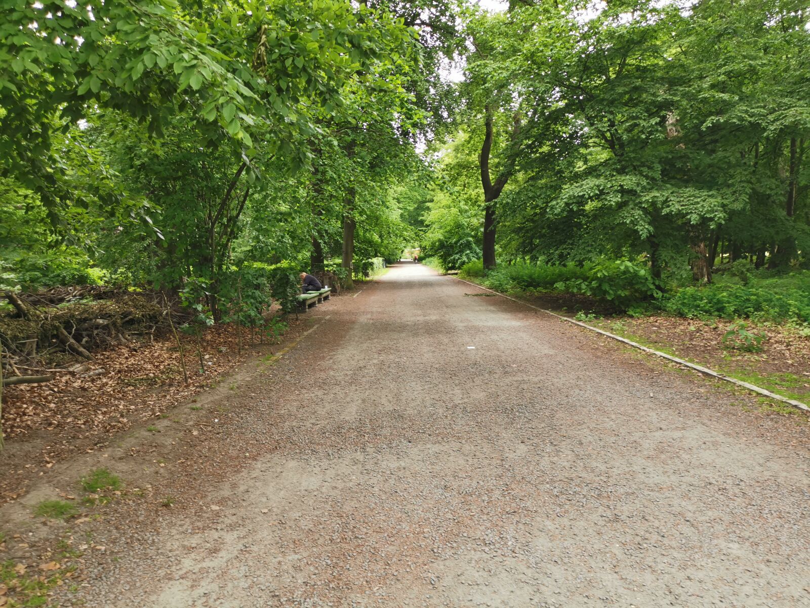 HUAWEI LYA-L29 sample photo. Wald, road, trees photography