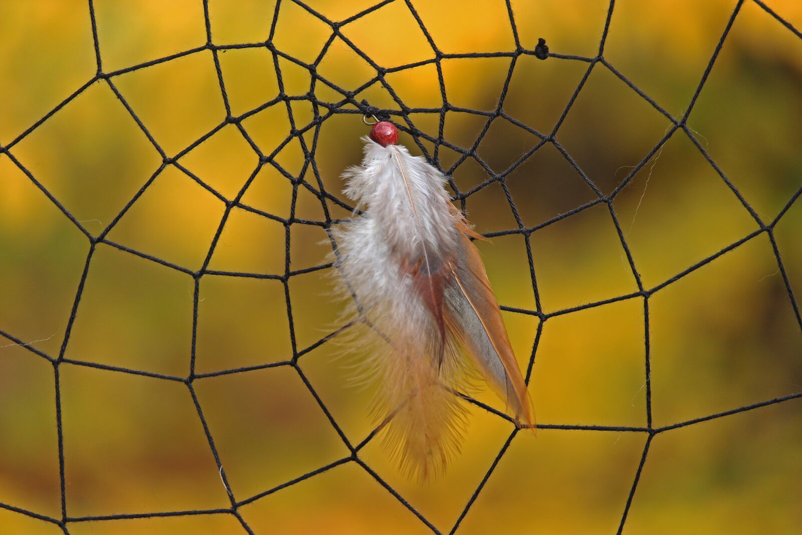 Canon EF-S 55-250mm F4-5.6 IS STM sample photo. Dream catcher, feather, braid photography