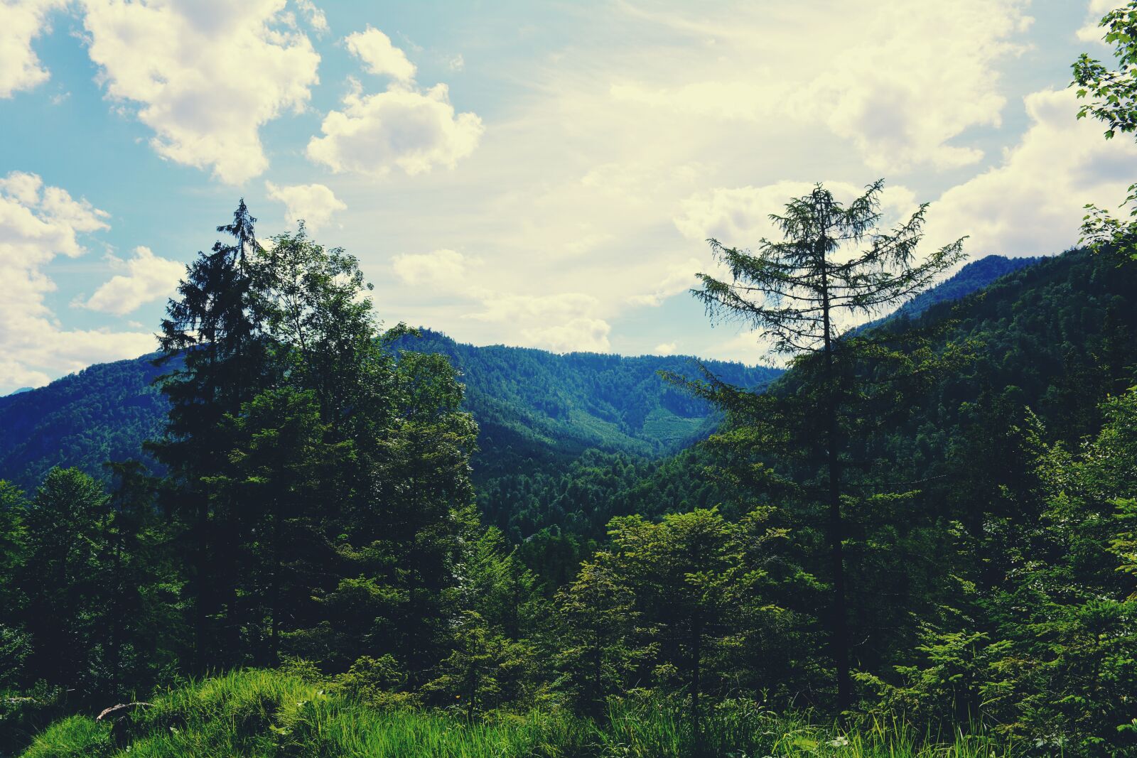 Nikon D5200 sample photo. Forest, hills, mountains photography