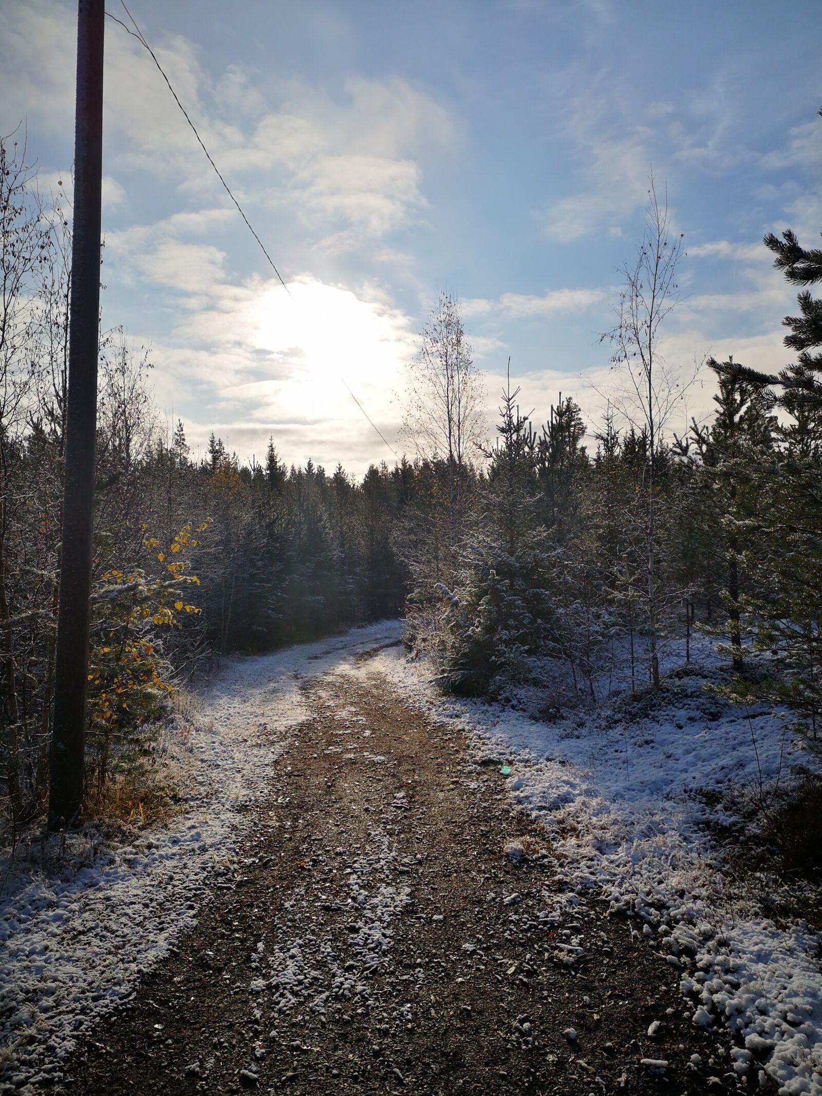 HUAWEI P20 sample photo. Nature, forest, finland photography