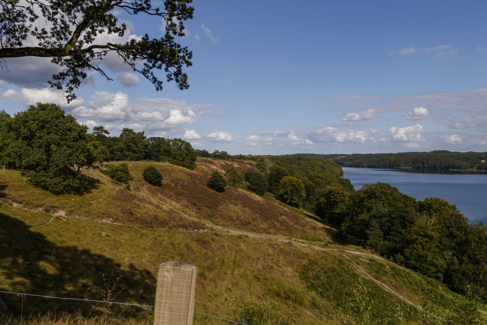 Canon EOS 750D (EOS Rebel T6i / EOS Kiss X8i) + Canon TS-E 90mm F2.8 Tilt-Shift sample photo. Hills, lake, landscape photography