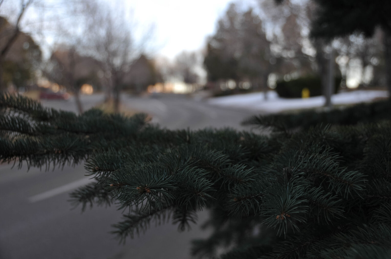 Nikon D300 sample photo