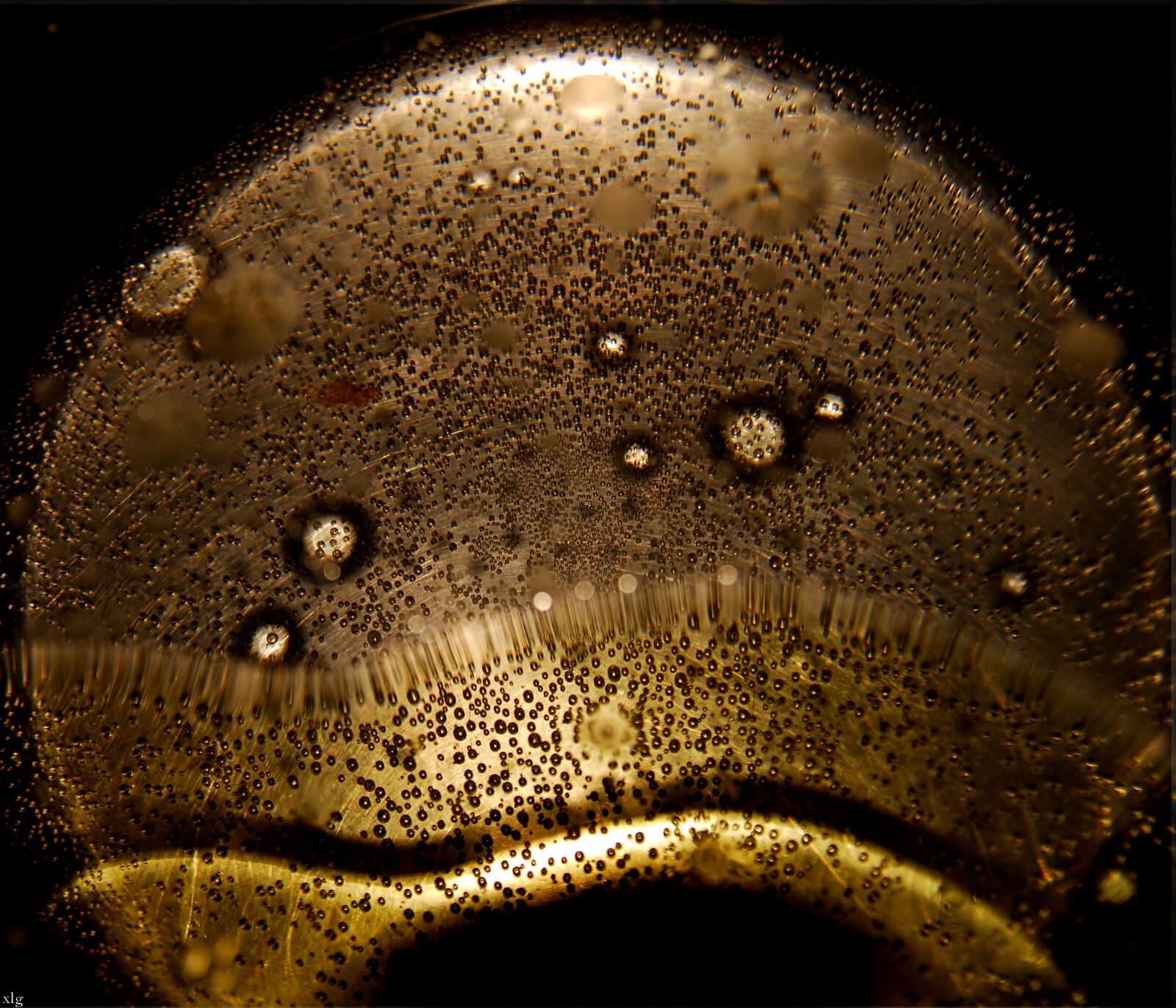 Nikon D200 sample photo. Cooking water, olive oil photography