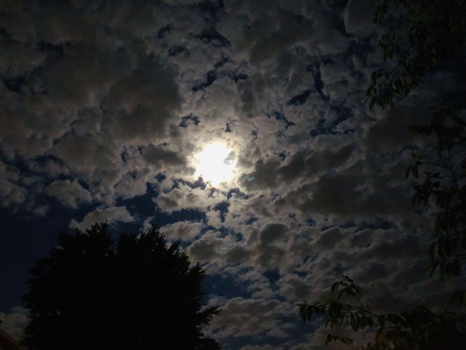 Apple iPhone 8 sample photo. Arbol, cielo, nubes photography
