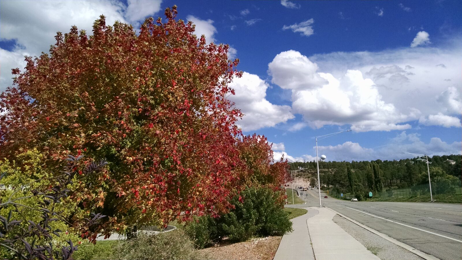 Motorola XT1080 sample photo