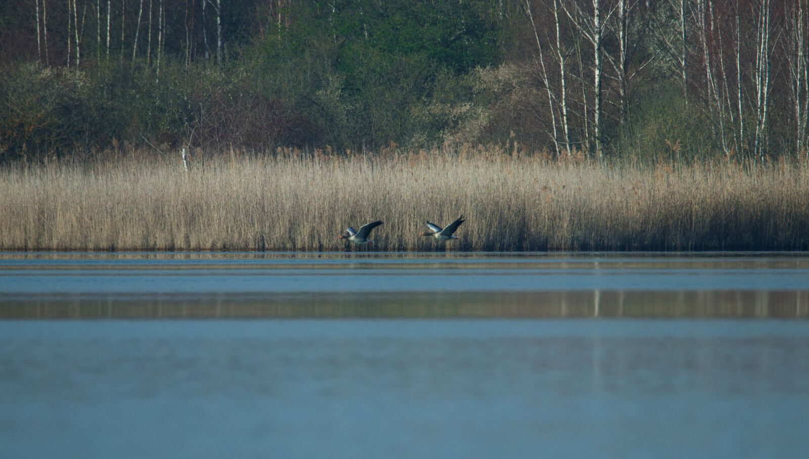 150-600mm F5-6.3 DG OS HSM | Contemporary 015 sample photo. Lake, bank, landscape photography