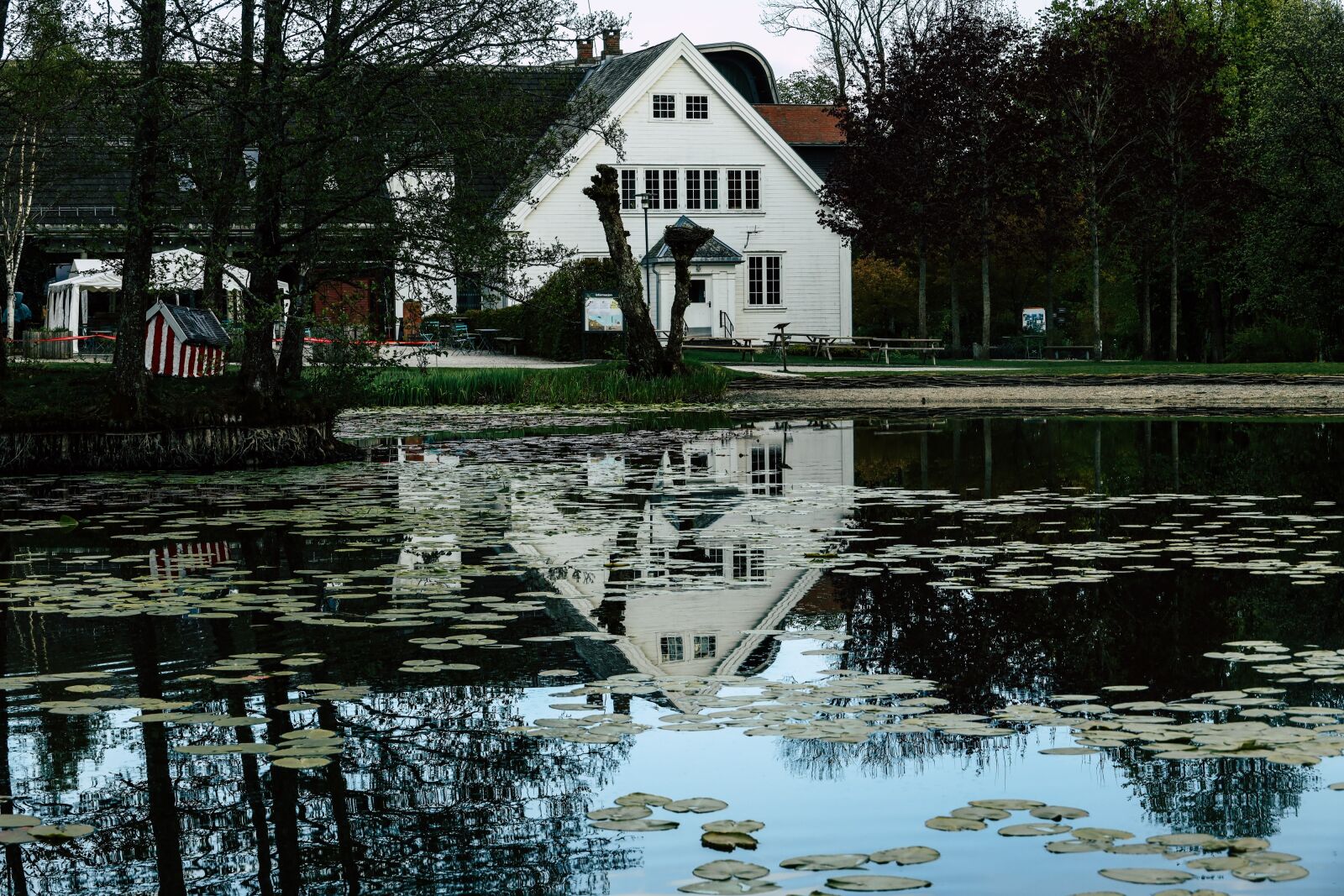 Canon EOS R sample photo. Building, reflection, landscape photography
