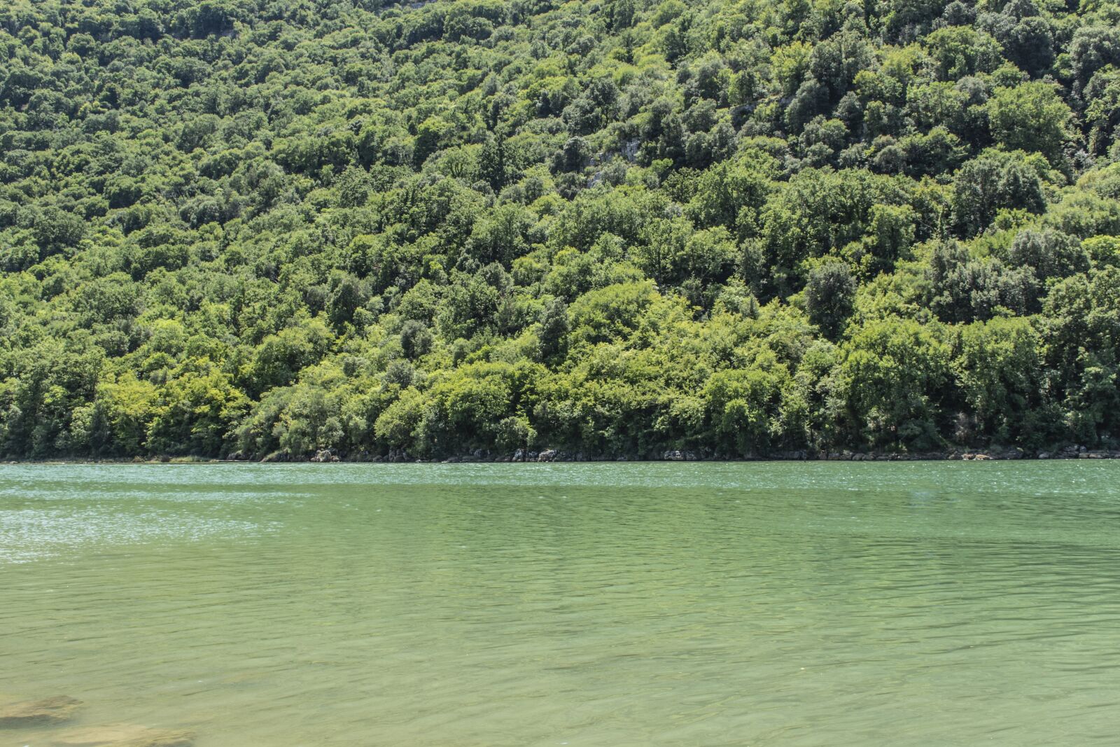 Nikon D7100 sample photo. Laguna, water, nature photography