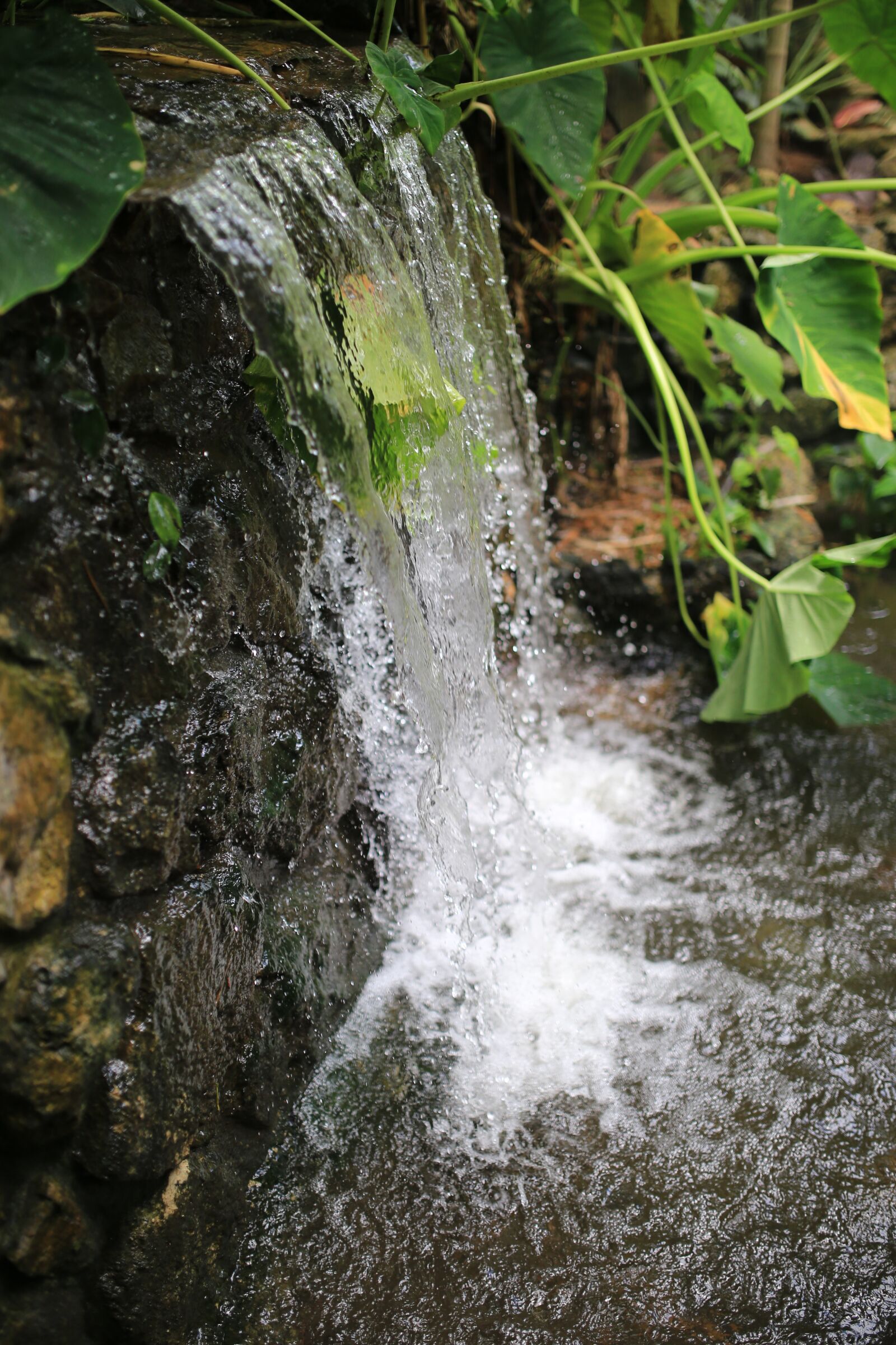 Canon EOS 6D sample photo. Waterfall, water, nature photography
