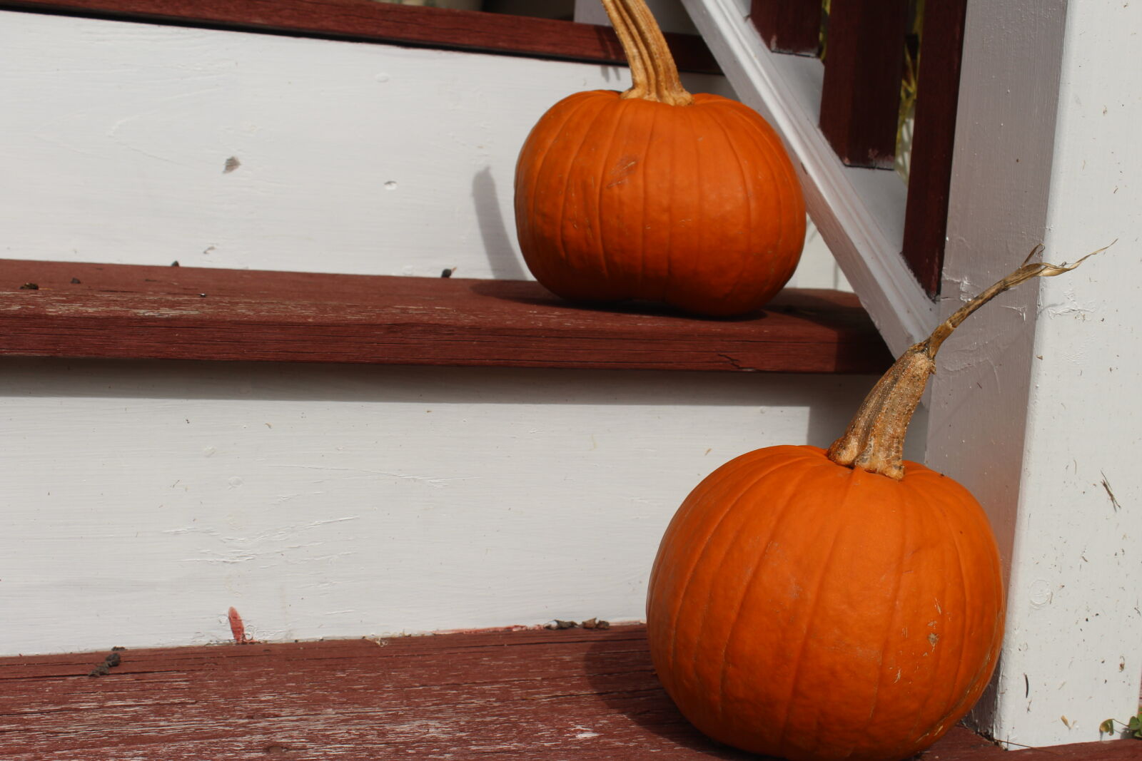 Canon EOS 1200D (EOS Rebel T5 / EOS Kiss X70 / EOS Hi) sample photo. Pumpkin, pumpkins, steps photography