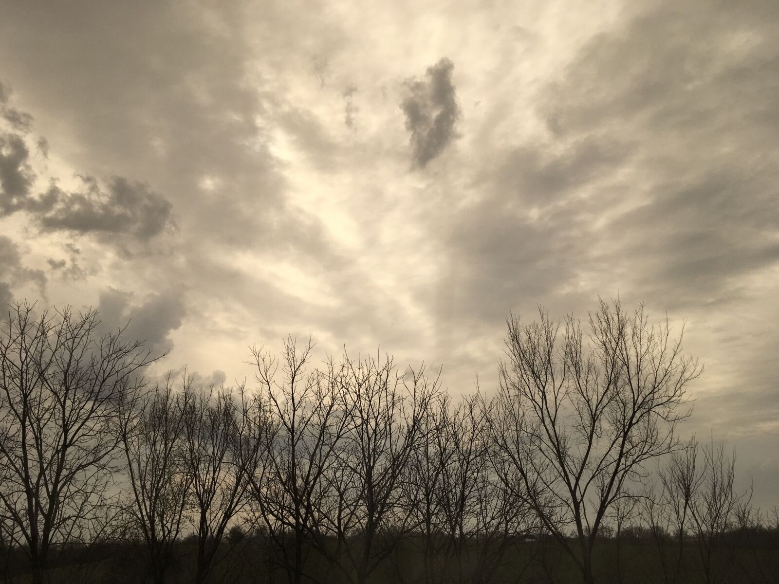 Apple iPad Pro sample photo. Nature, cloud, tree photography