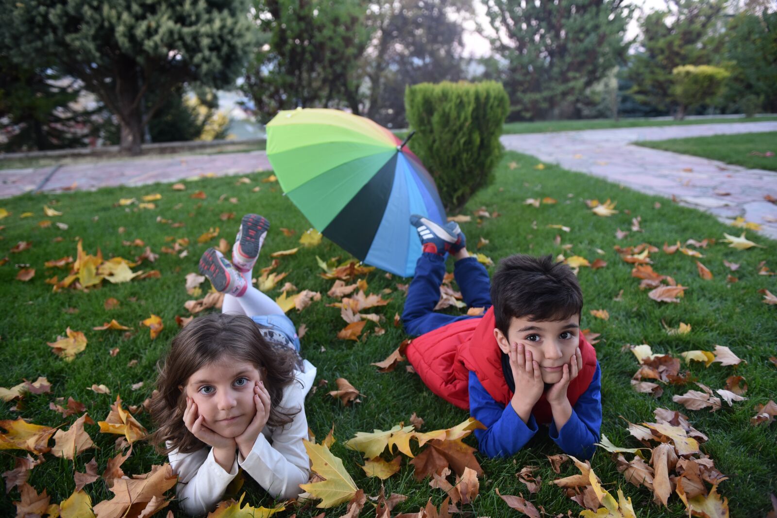 Nikon D750 sample photo. Autumn, child, the leaves photography