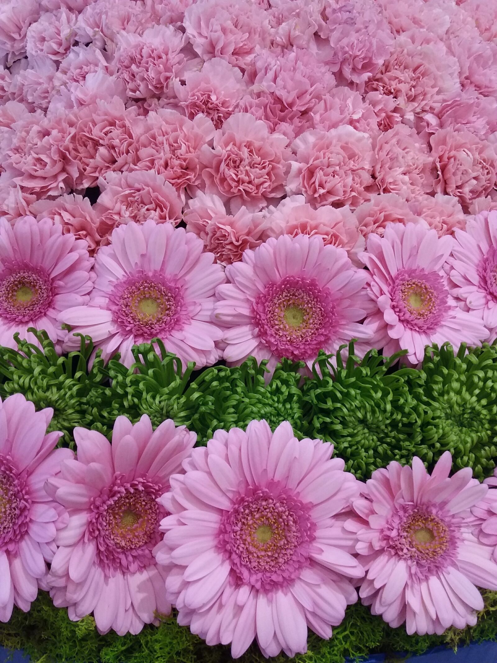 Samsung Galaxy J3(2016) sample photo
