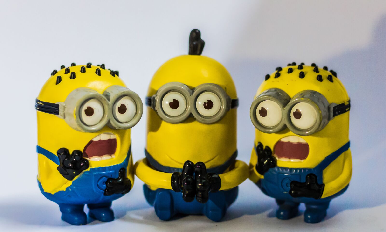 Canon EOS 700D (EOS Rebel T5i / EOS Kiss X7i) sample photo. Bird, photograph, minions photography