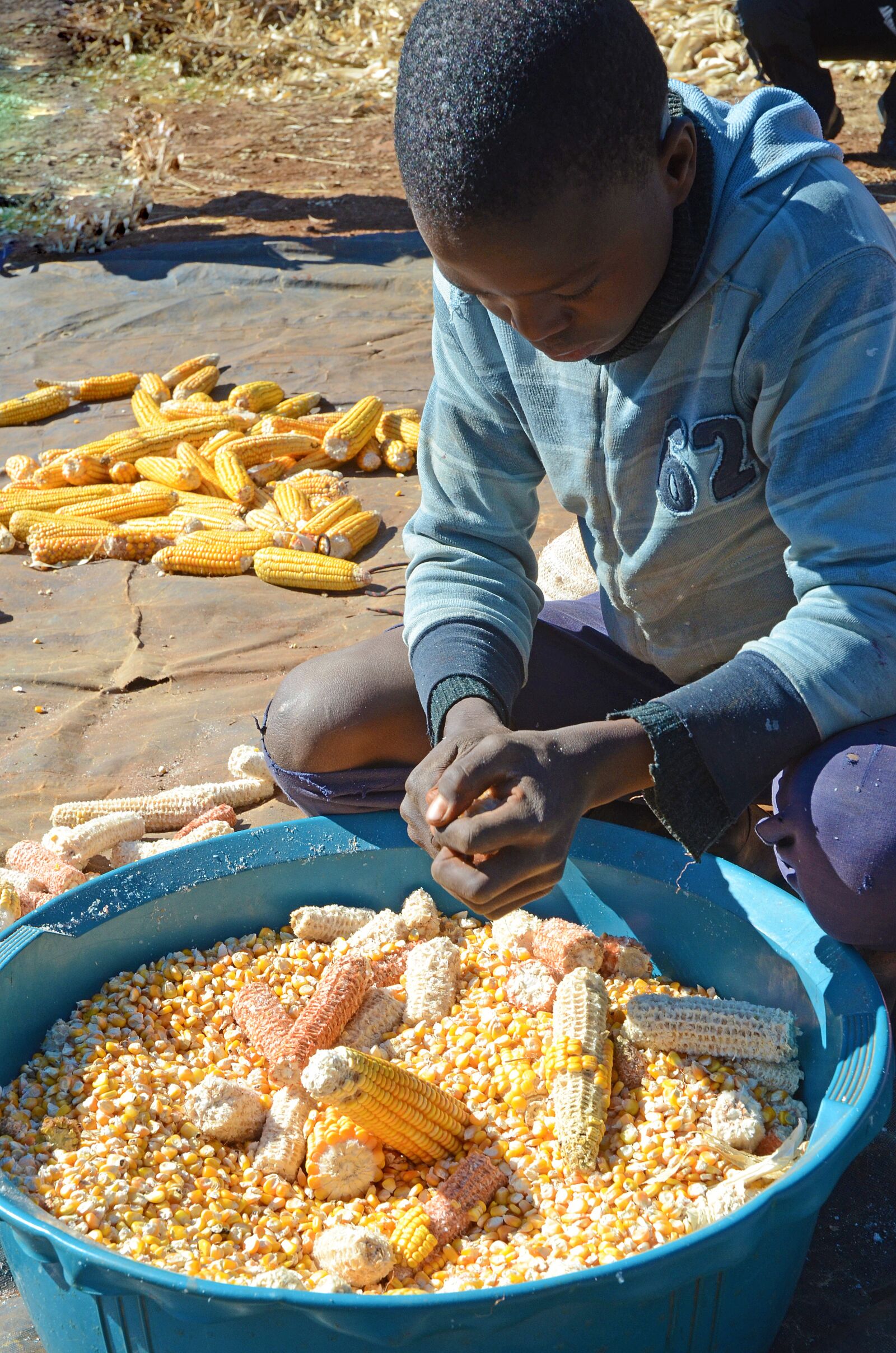 Nikon D7000 sample photo. Lesotho, malealea, work photography
