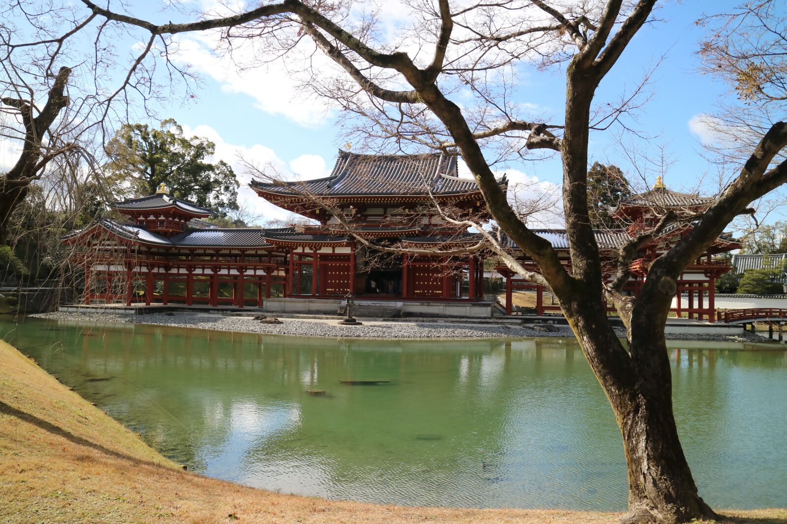 Canon EOS M3 sample photo. Lake view, byodo-in temple photography