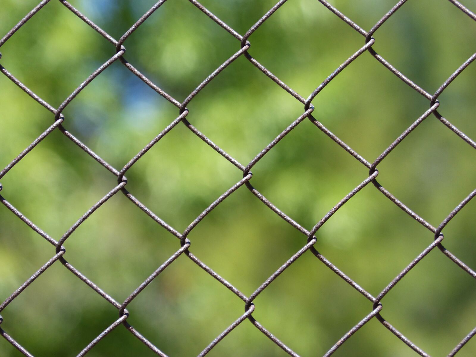 Panasonic DMC-FZ62 sample photo. Fence, metallic cloth, close photography