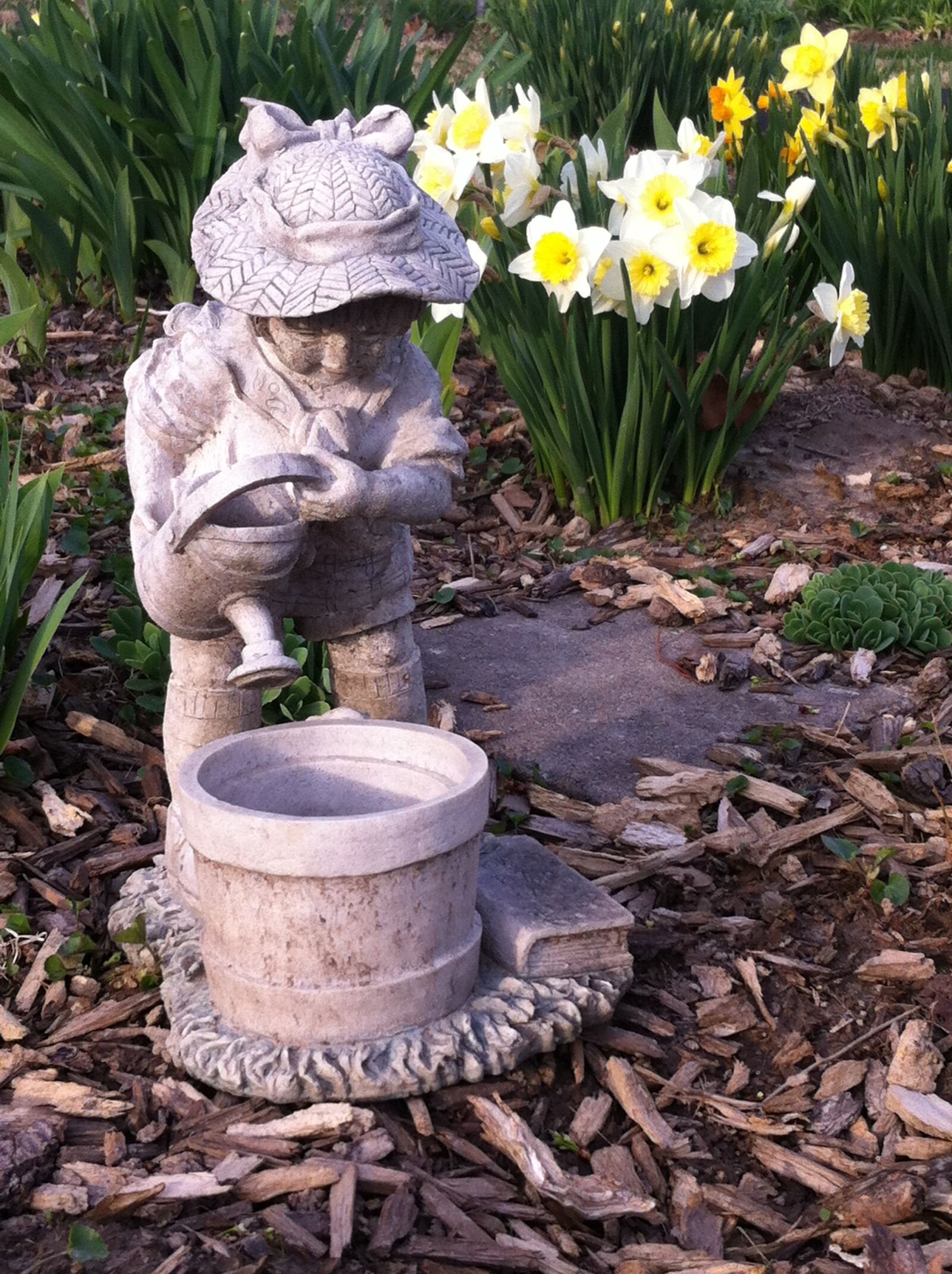 iPhone 4 back camera 3.85mm f/2.8 sample photo. Garden, spring, daffodils photography