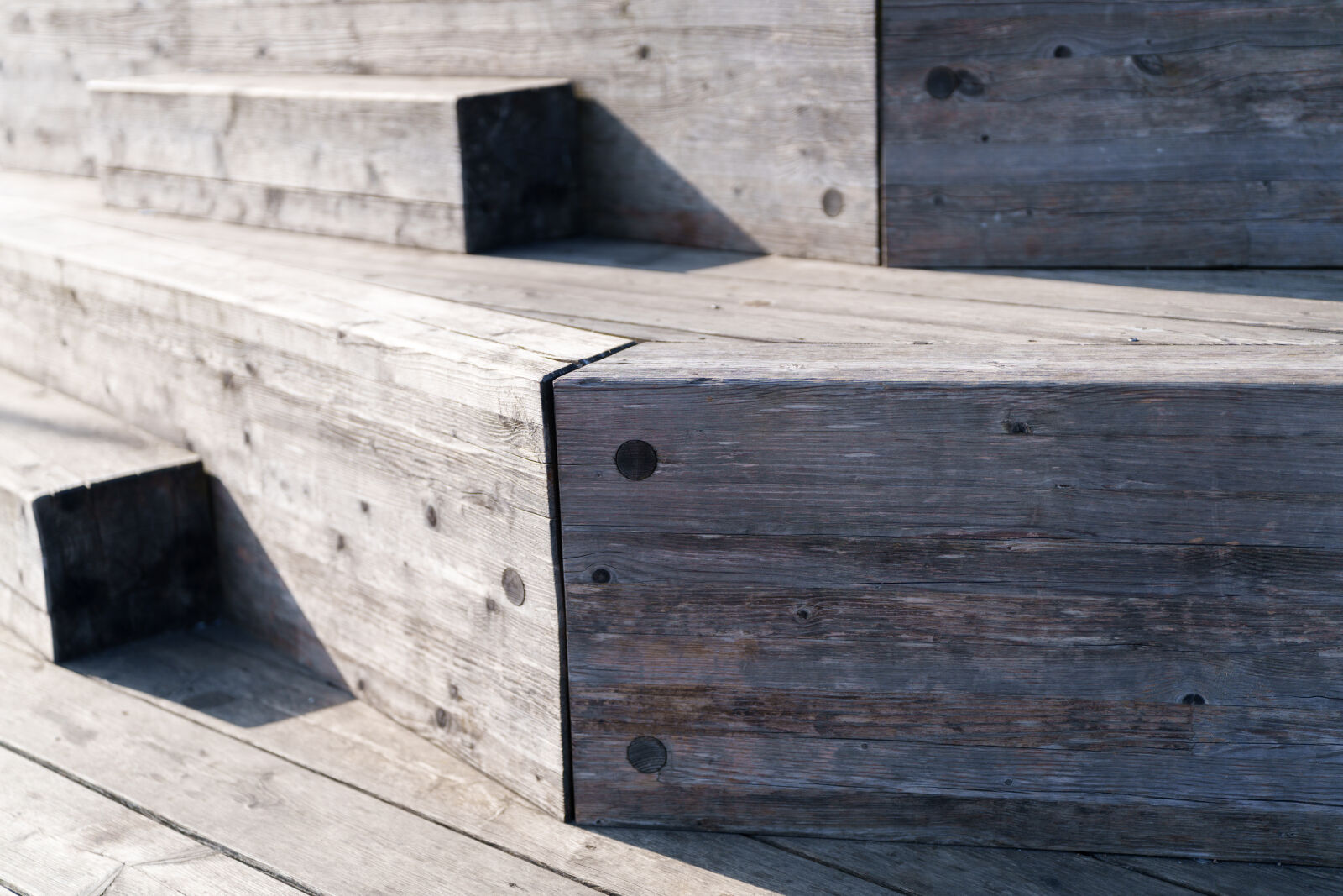 Sony a7R V sample photo. Shadow wood photography