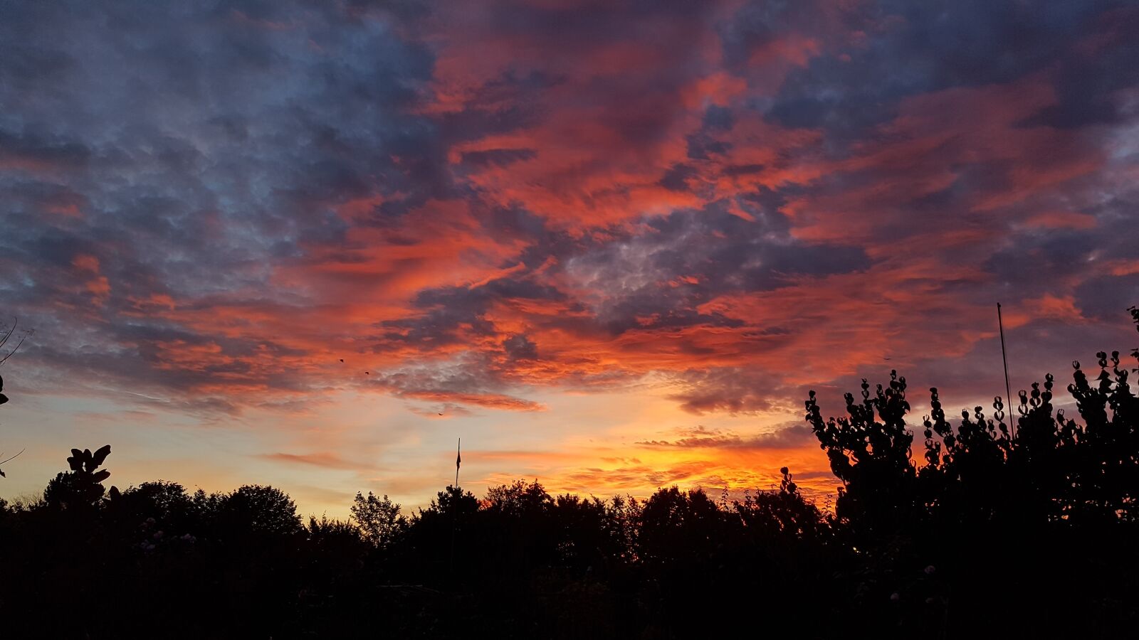Samsung Galaxy S7 sample photo. Sunset, sky, clouds photography