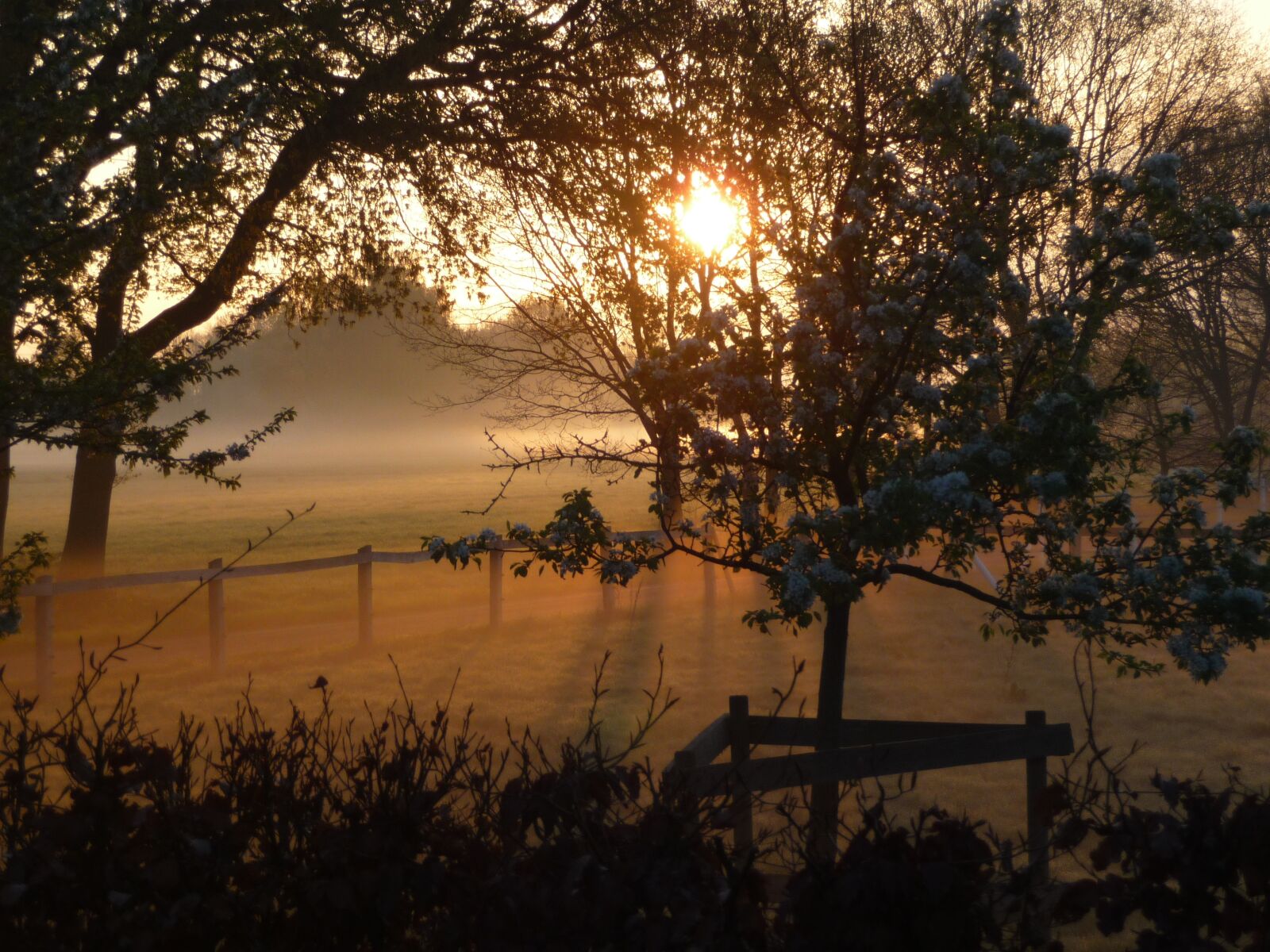 Panasonic Lumix DMC-TZ5 sample photo. Morgenstimmung, sunrise, fog photography
