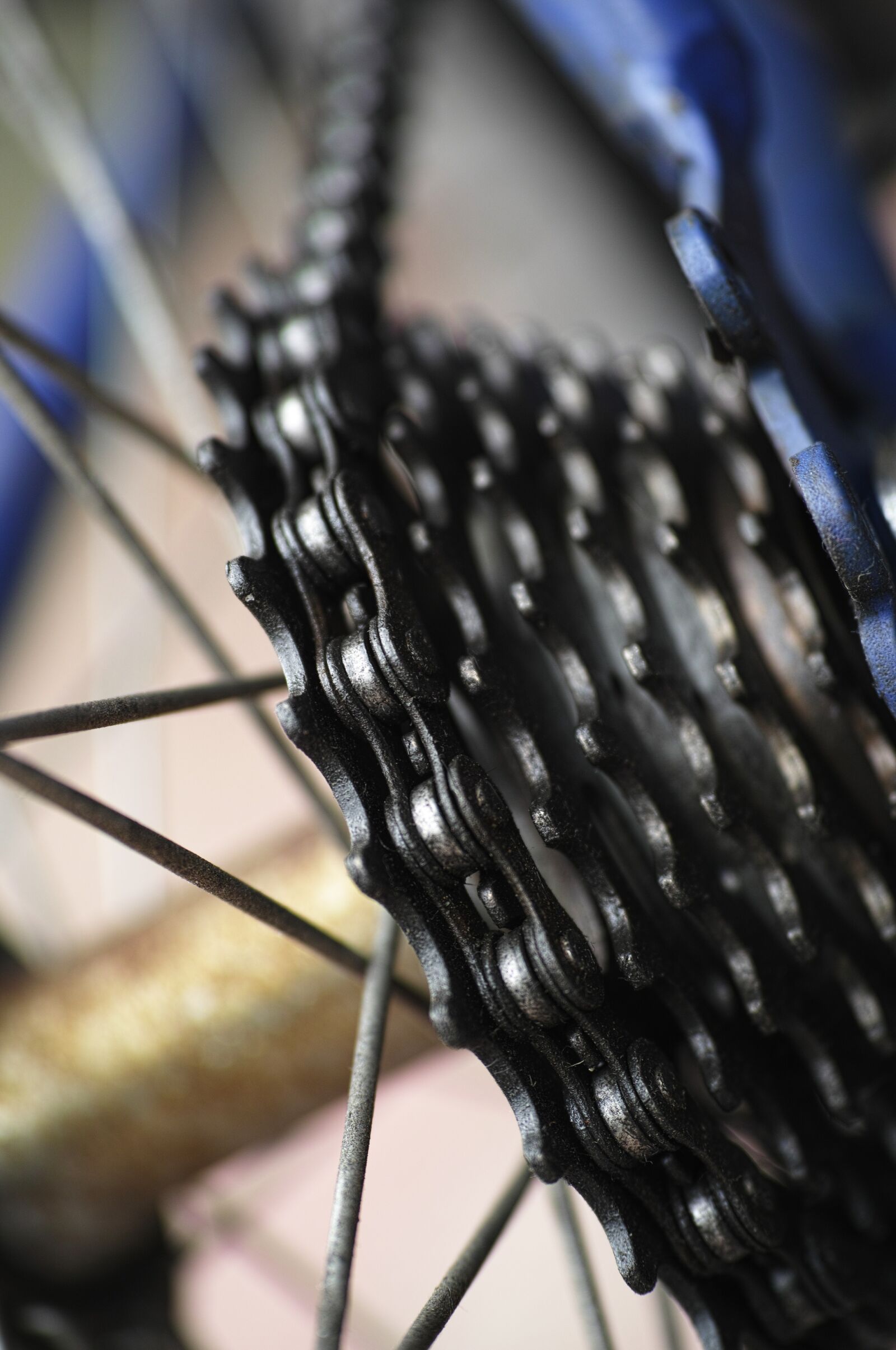 Sigma DP3 Merrill sample photo. Chain, bicycle, fat photography