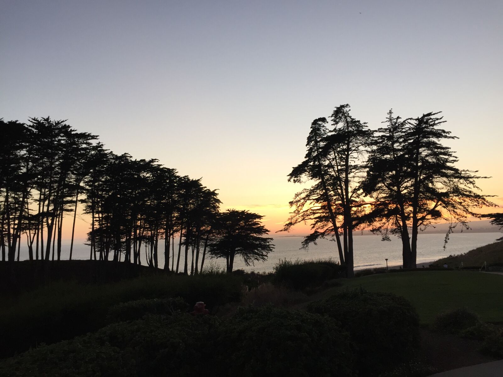 iPhone 6 back camera 4.15mm f/2.2 sample photo. Aptos photography