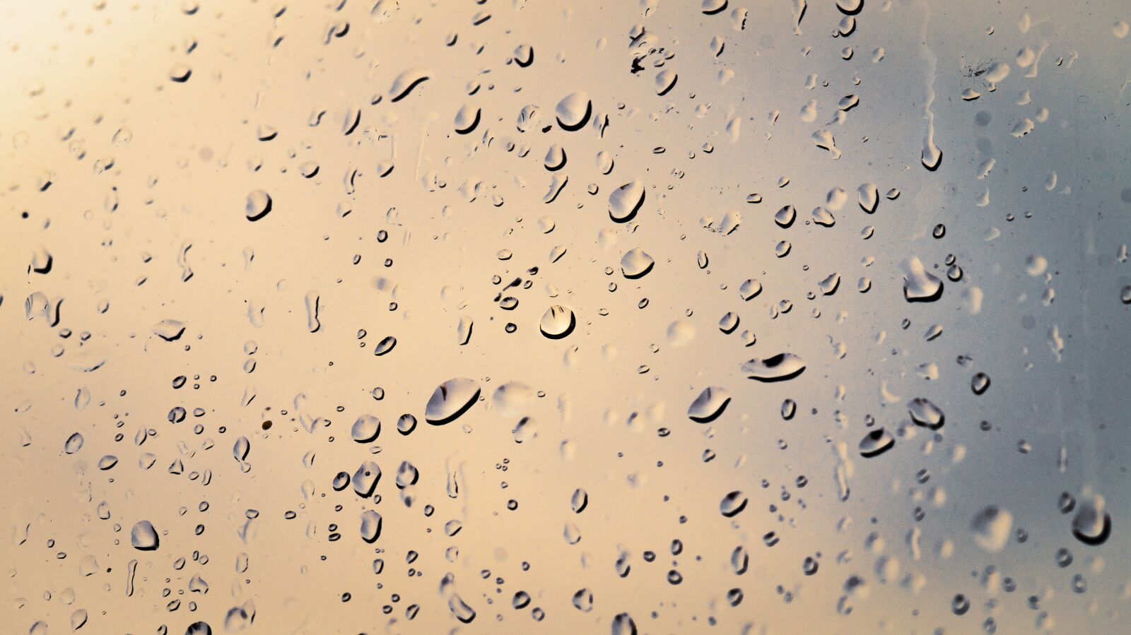 Sony SLT-A58 sample photo. Rain, window, raindrops photography