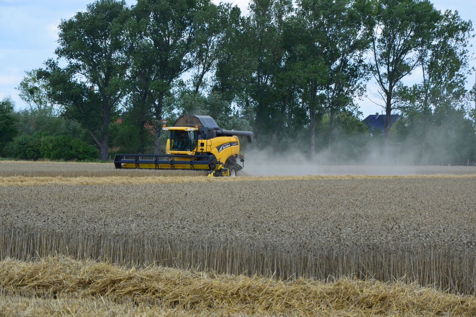 Nikon D5100 sample photo. Harvest, grain harvest, agriculture photography
