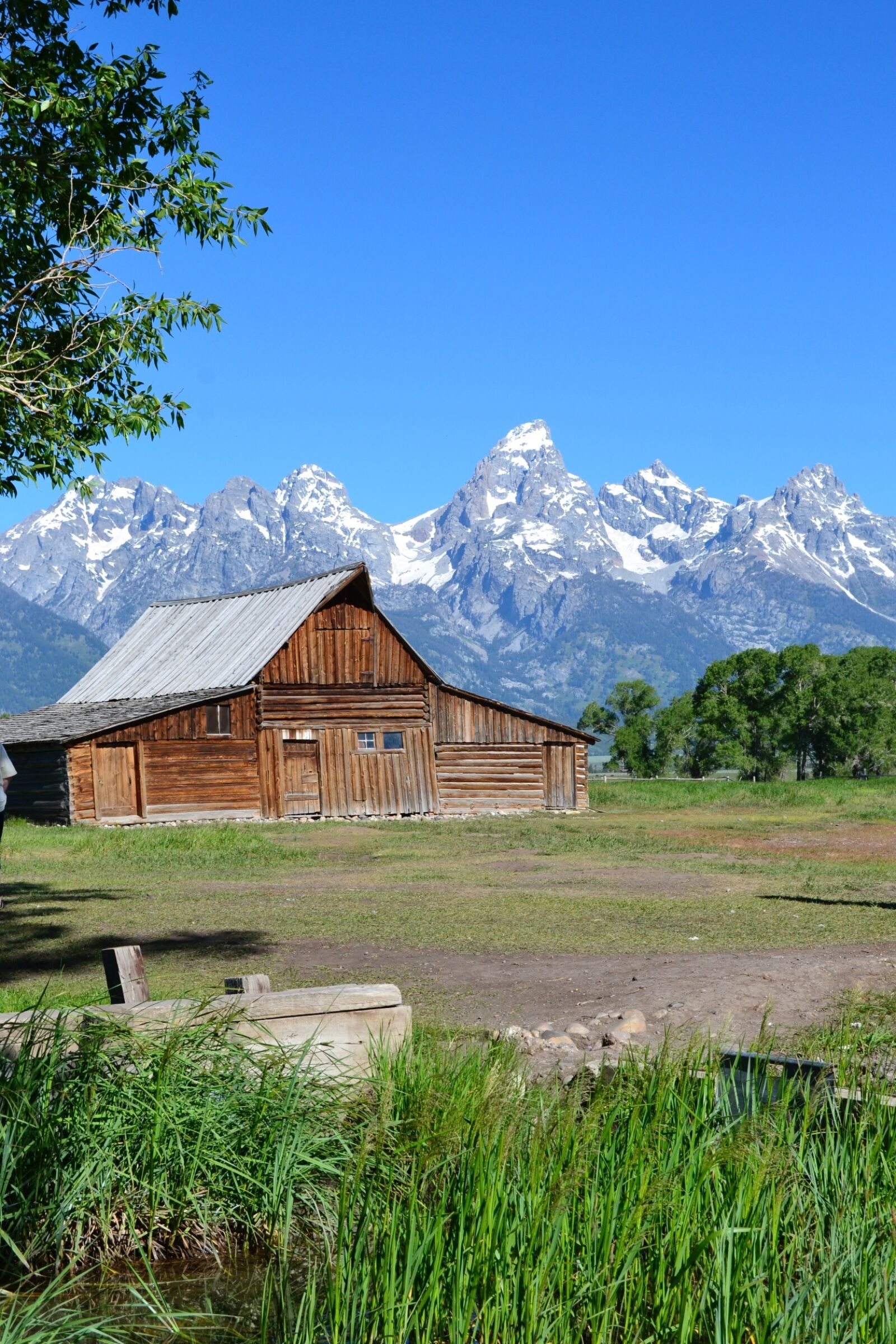 Nikon D3100 sample photo. Grand teton, mountain, wyoming photography