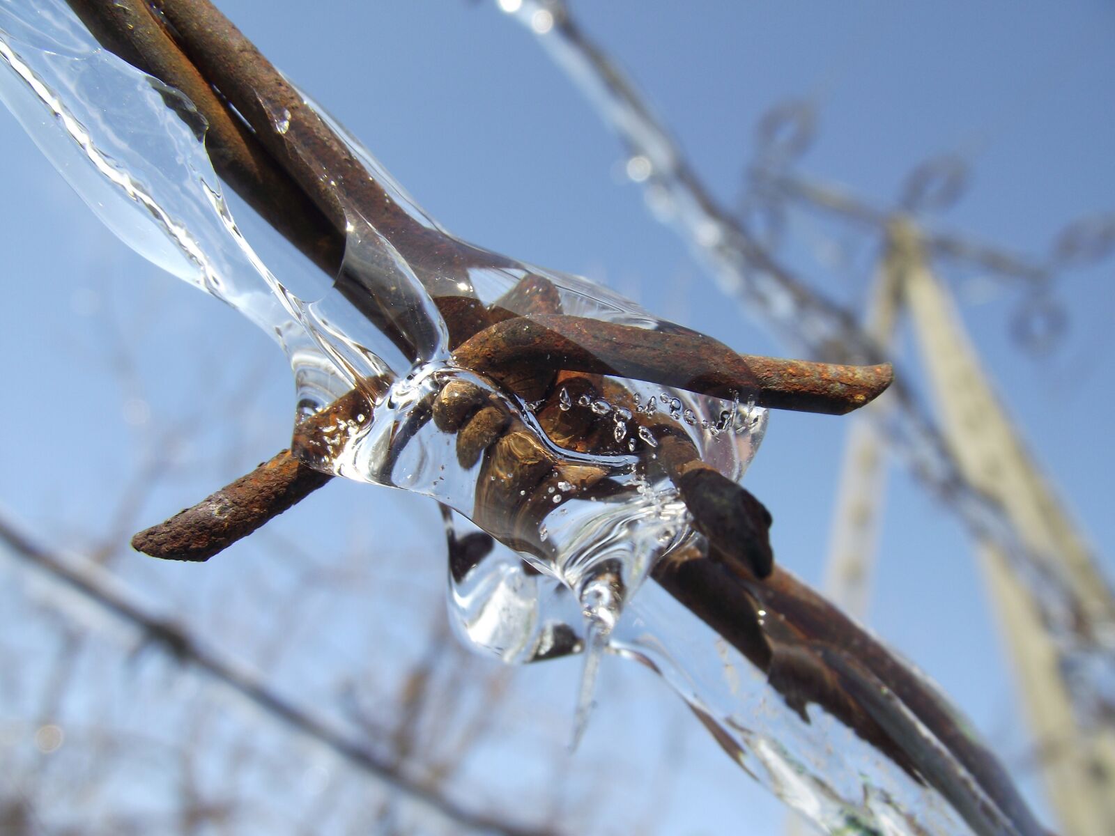 FujiFilm FinePix S2500HD (FinePix S2600HD) sample photo. Barbed wire, ice, winter photography