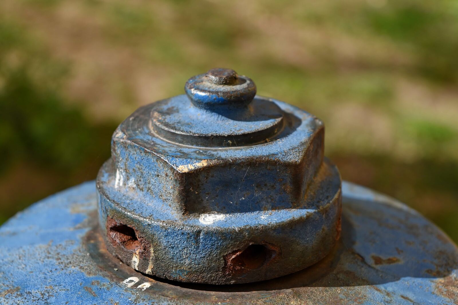 Nikon D5500 sample photo. Hydrant, old, rust, iron photography