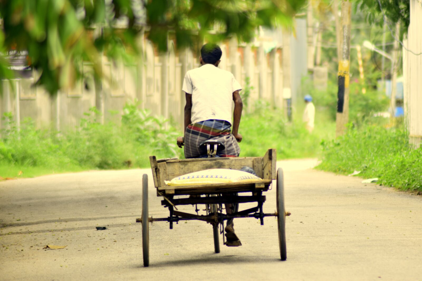 Nikon D5300 sample photo. Wheels, indian, country photography
