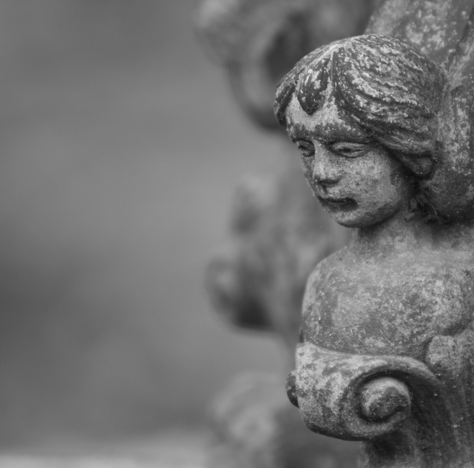 Canon EOS 750D (EOS Rebel T6i / EOS Kiss X8i) sample photo. Angel, black and white photography