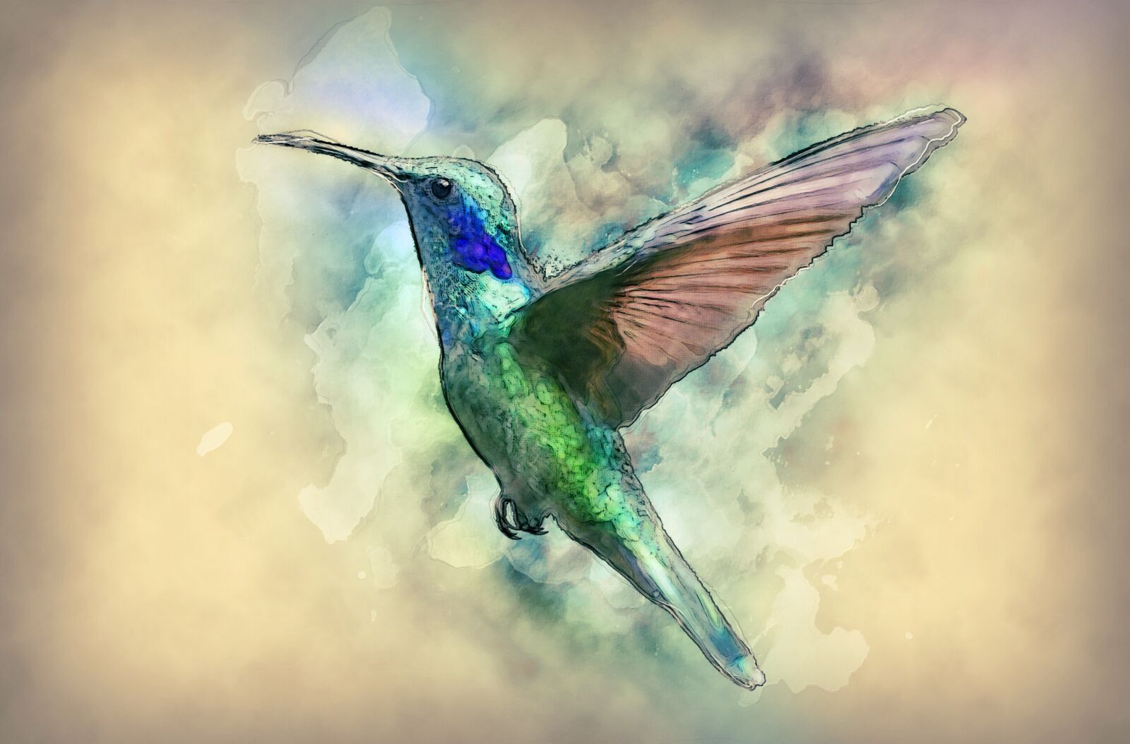 Nikon D3S sample photo. Hummingbird, bird, trochilidae photography