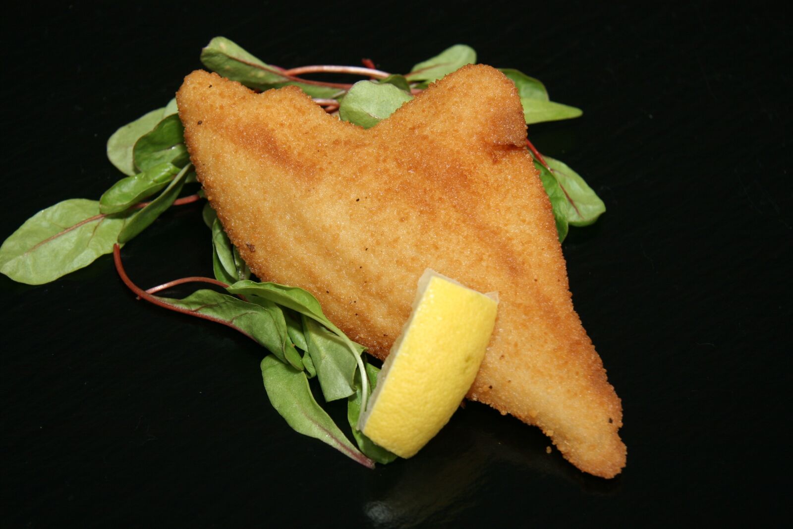 Canon EOS 20D sample photo. Fish, fish fillet, breaded photography
