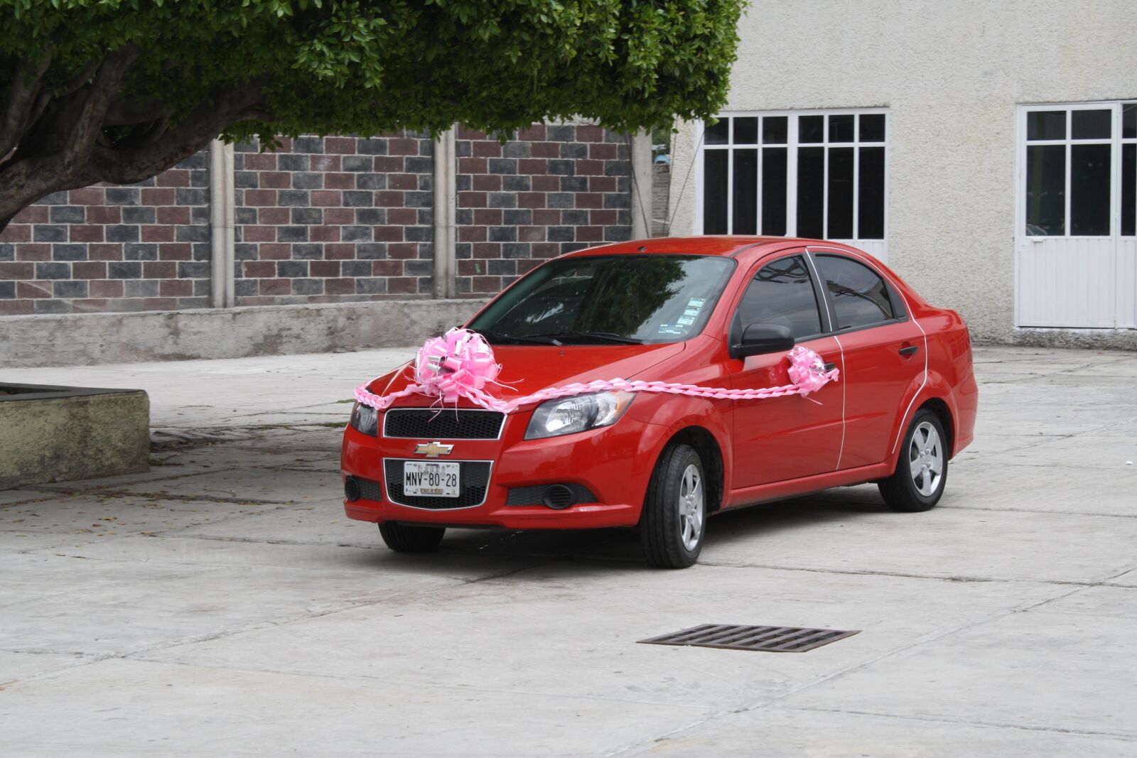Canon EOS 1000D (EOS Digital Rebel XS / EOS Kiss F) sample photo. Car, network, c photography