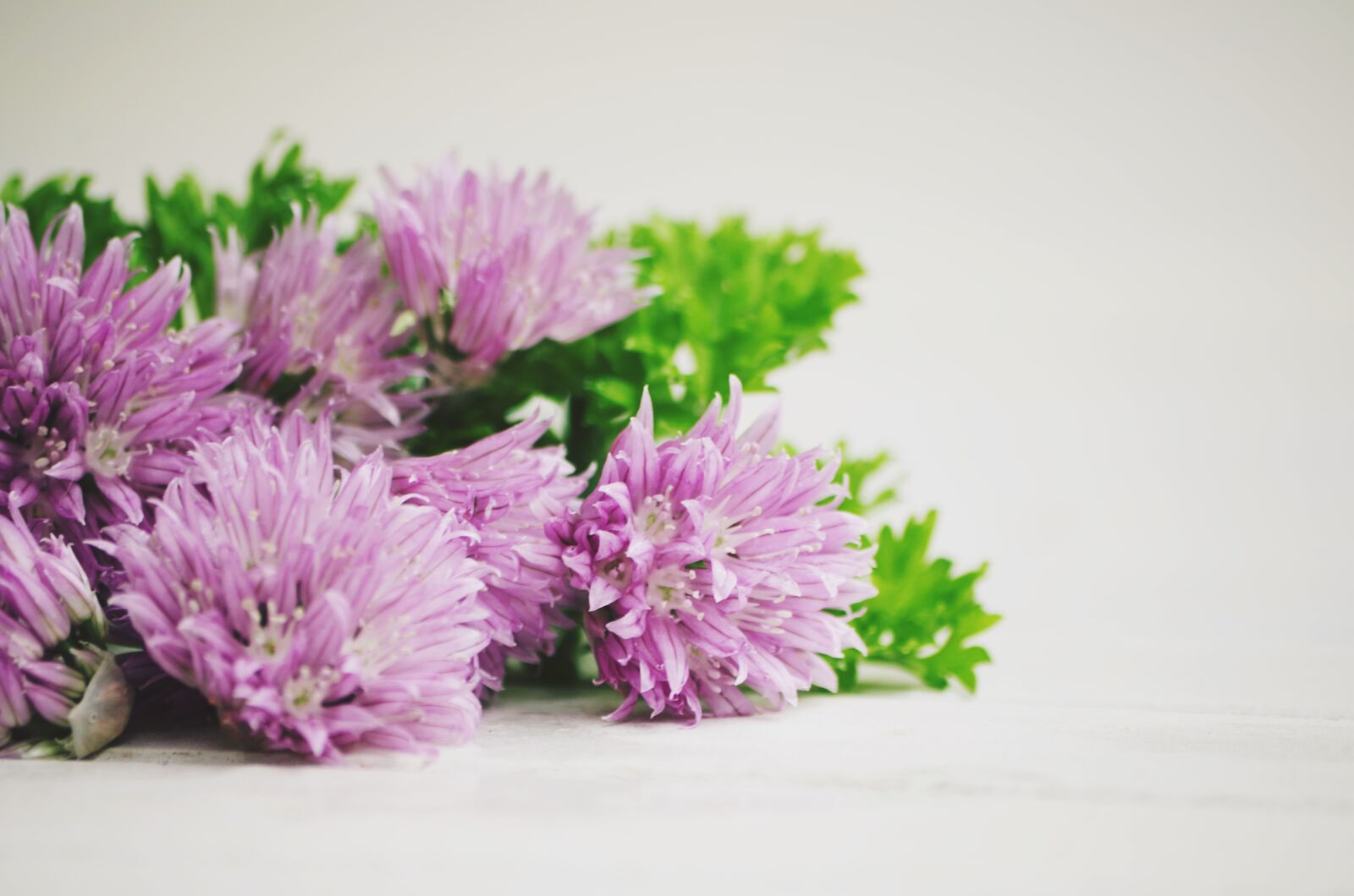 Pentax K-50 sample photo. Chives, eat, food photography