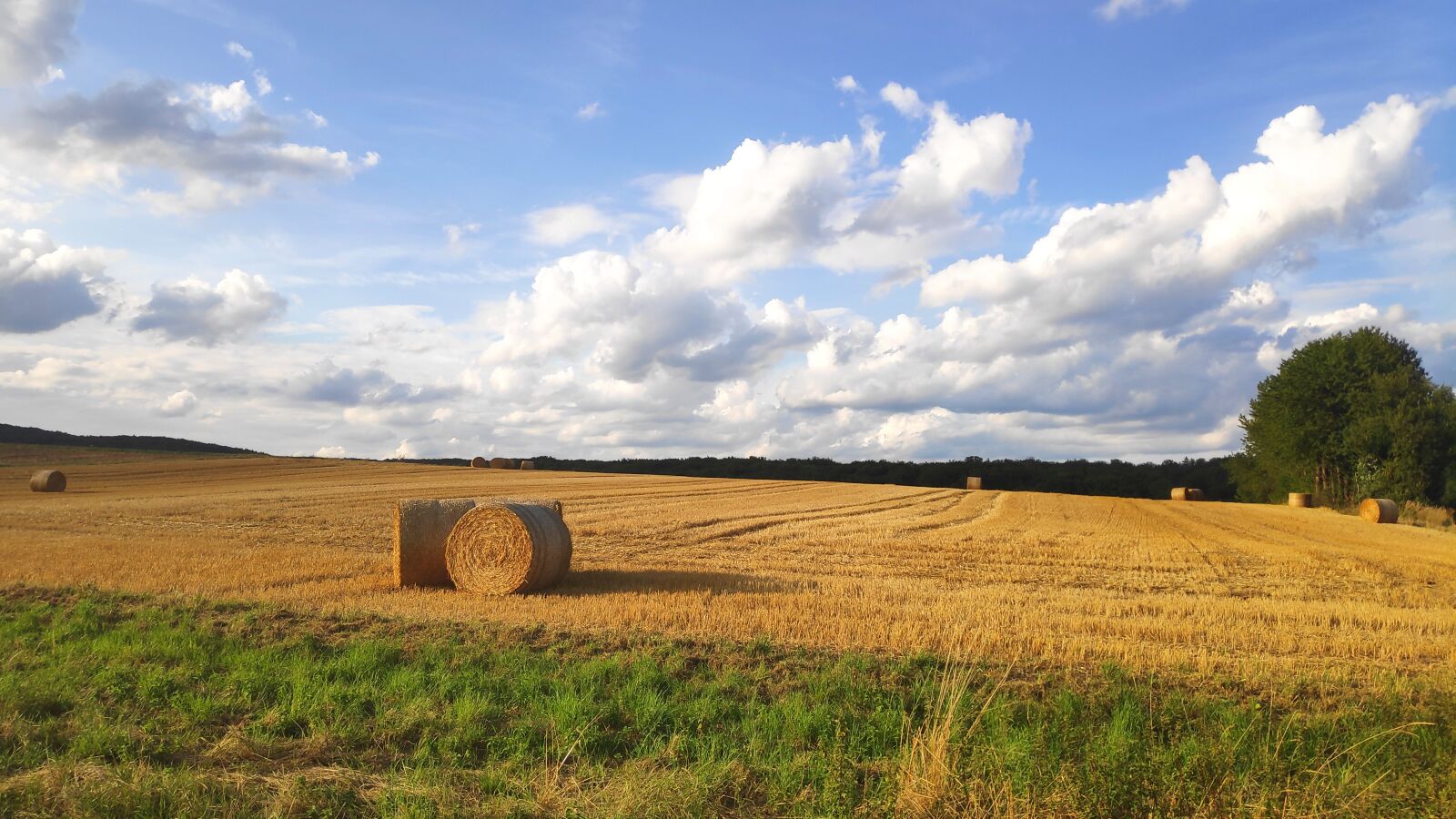 Xiaomi POCO F1 sample photo. Sun, harvest, fields photography