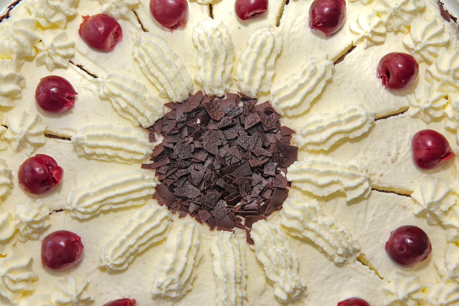 Canon EOS 550D (EOS Rebel T2i / EOS Kiss X4) sample photo. Cake, dessert, pastries photography