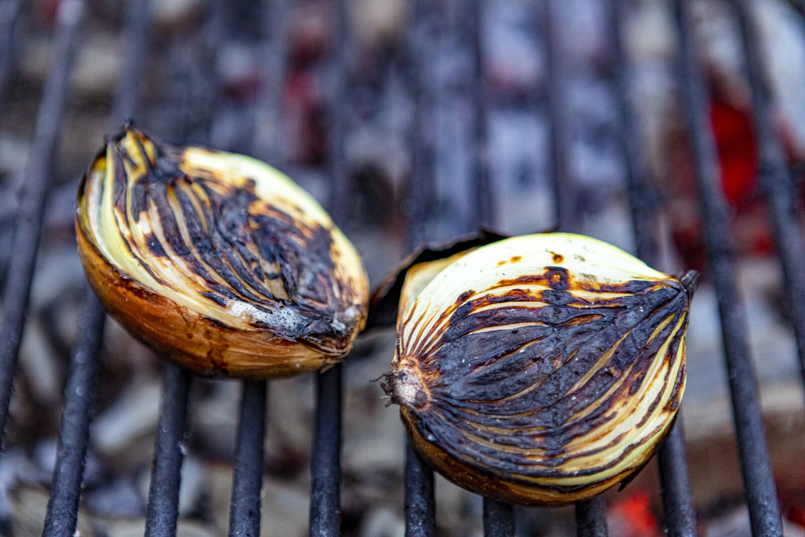 Canon EOS 5D Mark IV + Canon EF 24-70mm F2.8L USM sample photo. Onions, grill, grilled onions photography