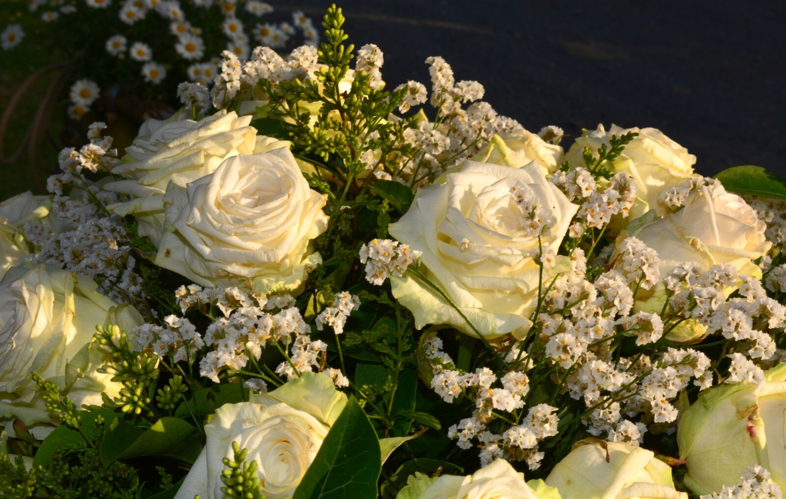 Nikon D5200 sample photo. Flora, plant, roses photography