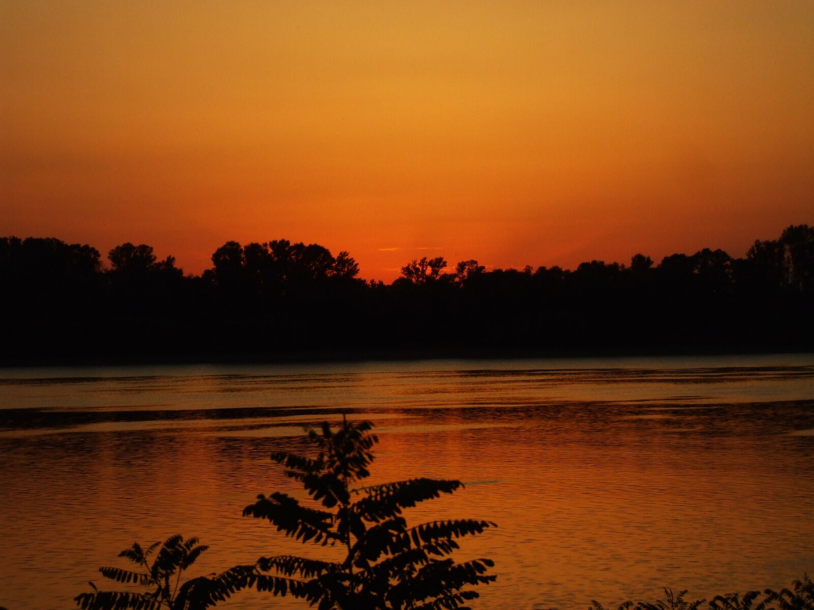Fujifilm FinePix A800 sample photo. Sunset, dusk, twilight photography